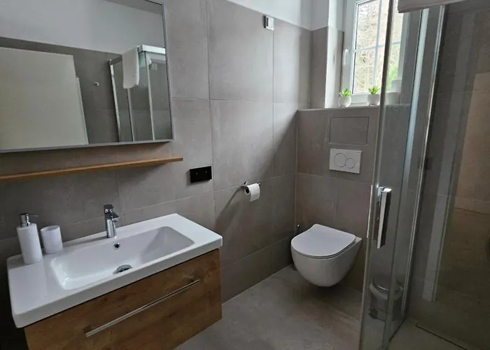 Apartman Horsky Miki *